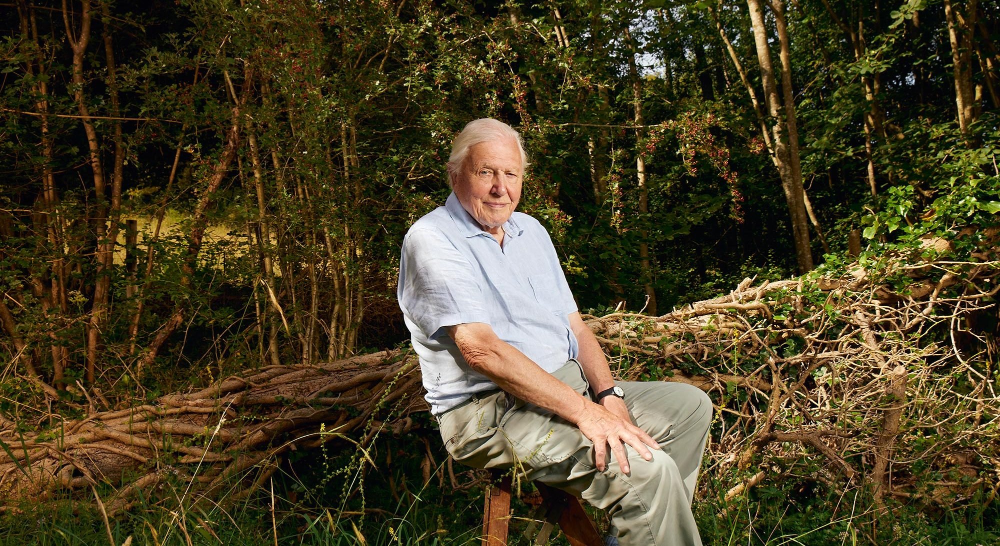 Exploring the Making of Planet Earth III: A Conversation with BBC Producer Mike Gunton