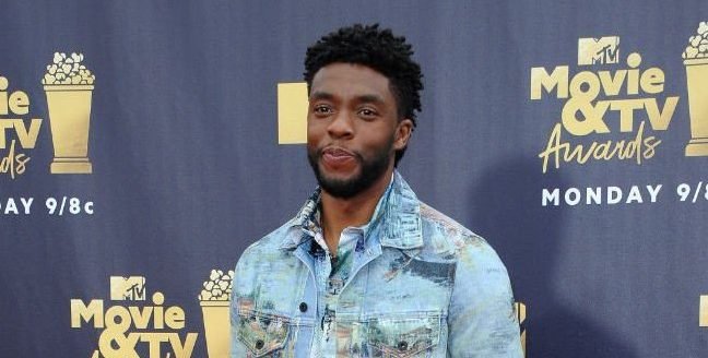 Chadwick Boseman praised as a ‘hero’ during Stand Up to Cancer event