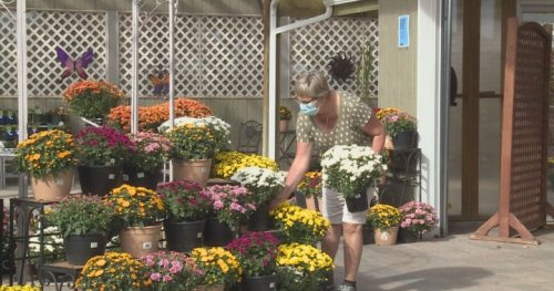 Tips on yard care, environmental sustainability as autumn rolls into Lethbridge - Lethbridge | Globalnews.ca