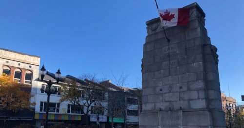 Hamilton councillors accept apology of veteran’s committee member after code of conduct violation