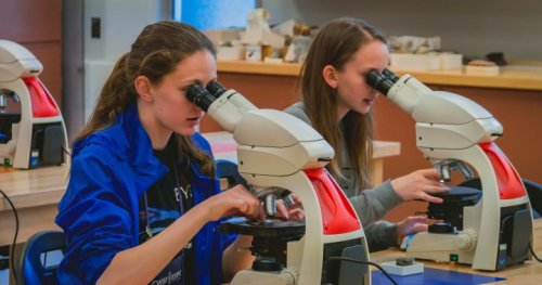 How can parents keep their daughters interested in STEM? Encourage curiosity