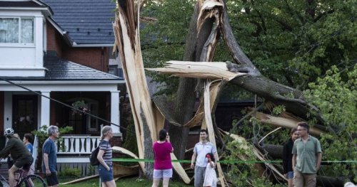 Ottawa school boards cancel Tuesday class after massive Ontario storm