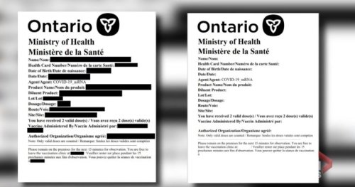 Are fake vaccine cards being used to enter Canada? | Globalnews.ca