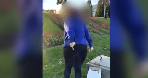 ‘It came from your country’: Racist outburst caught on camera at Coquitlam, B.C., park