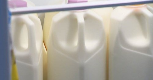 B.C. implementing 10 cent deposit on milk and milk-alternative containers Feb. 1