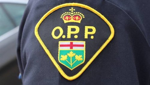Woman dies after being struck by vehicle on Highway 401 shoulder in Mississauga: police
