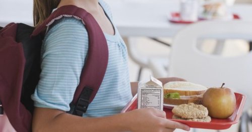 Canada is planning its 1st national school food policy. What will it include?