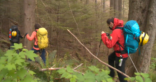 Busy weekend prompts summer safety warning from North Shore Rescue