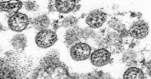 Cluster of COVID-19 cases linked to Kelowna nightclub: Interior Health - Okanagan | Globalnews.ca