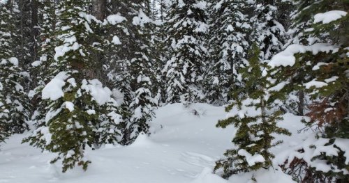 American teen killed in Banff ski collision
