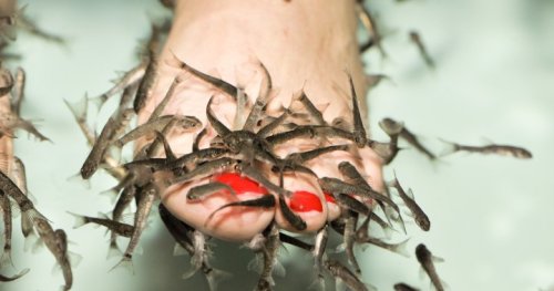 Fish pedicure causes woman’s toenails to peel off, medical expert warns of ‘serious infections’