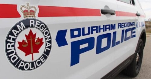 Police seize fentanyl, cocaine and guns in Durham Region bust | Globalnews.ca