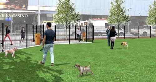 Edmonton Ice District will be home to new temporary off-leash dog park