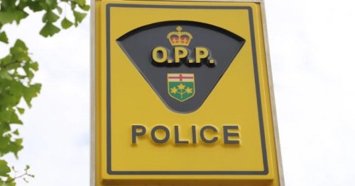 Man arrested with loaded firearm following fight in Wasaga Beach, Ont. - Barrie | Globalnews.ca