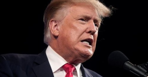 Trump sues his niece, New York Times over 2018 report revealing family’s tax dodges - National | Globalnews.ca