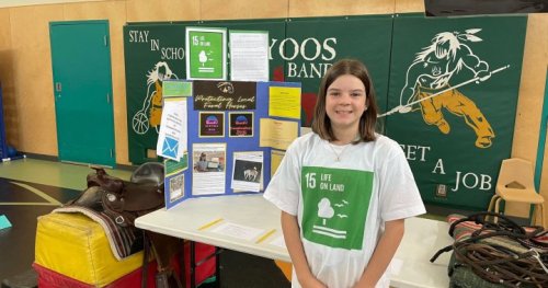 Grade 6 student prompts government to install feral horse signs in Oliver, B.C.