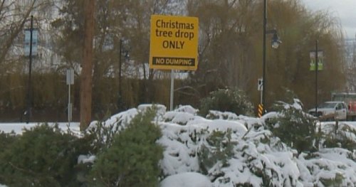 Free Christmas tree drop off at Glenmore landfill: City of Kelowna