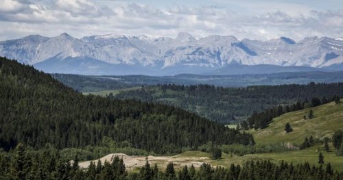Alberta town endorses community developed policy saying no to coal mining in Rockies