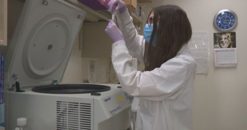 Domestic vaccine-makers want more help from Ottawa: ‘There’s been a real lack of leadership’ | Globalnews.ca