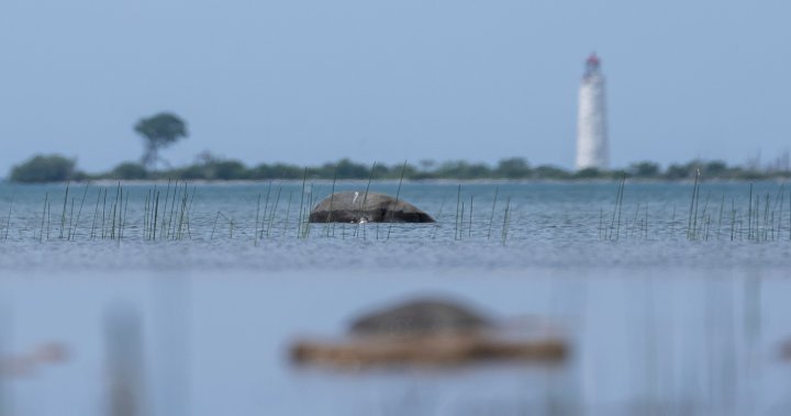 Spring storm causes waste spill in Ontario lake, Quebec under freezing rain warning