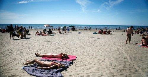 Human Remains Found In Wasaga Beach Under Investigation By Ontario Provincial Police Flipboard