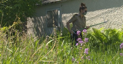 8-foot snake still loose somewhere in Fort Rouge