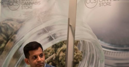 Cannabis price ‘race to the bottom’ hurts market’s future: OCS CEO