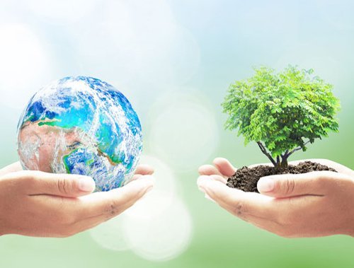 Earth Month: Tips for going green this April