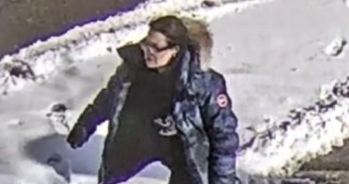 Woman charged in Toronto dog attack previously deemed ‘irresponsible’ pet owner