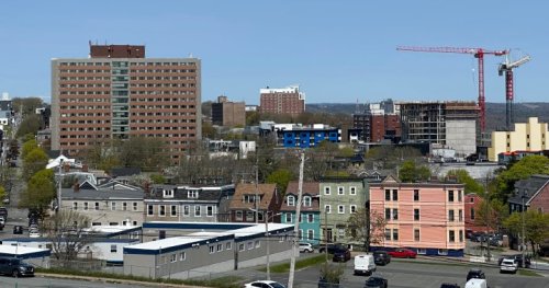 ‘I just don’t like it’: Living the high life in Halifax and why not everyone is a fan