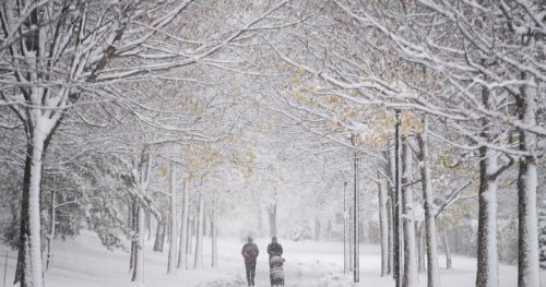 Snowfall warnings issued as winter storm hits B.C. Tuesday