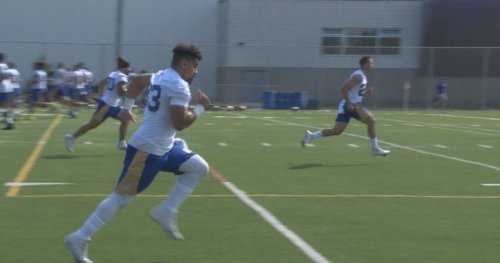 Winnipeg Blue Bombers’ Andrew Harris escapes suspension for Banjo Bowl brawl - Winnipeg | Globalnews.ca