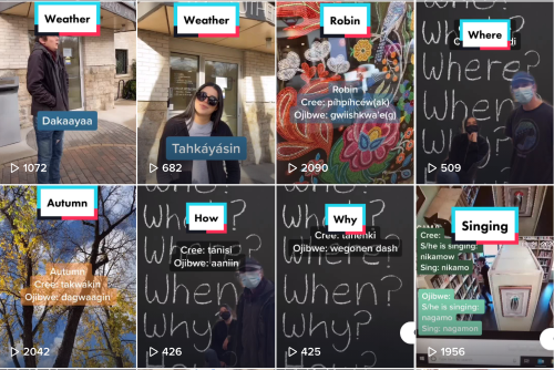 Reviving the Cree and Ojibwe languages of Manitoba with TikTok