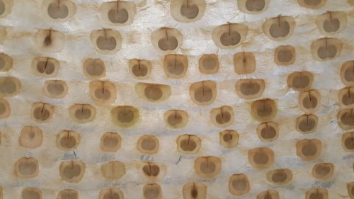Retelling indigenous Tamang people’s torment and trauma through sacred seeds, handmade paper and slates