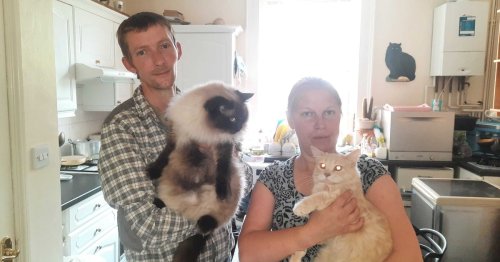 Couple facing eviction have nowhere to home their pets