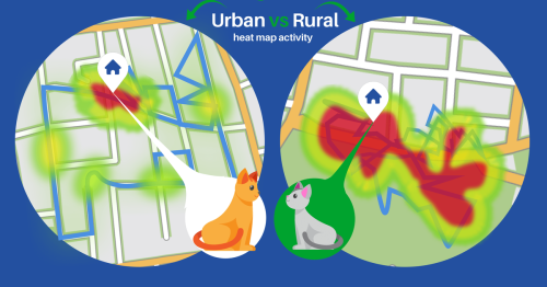 Heat maps show what missing cats get up to in the UK