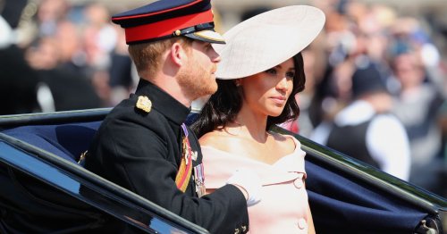 Meghan Markle and Prince Harry should 'give up their titles'
