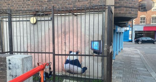 Has Banksy struck again? Street art pops up in Gloucester