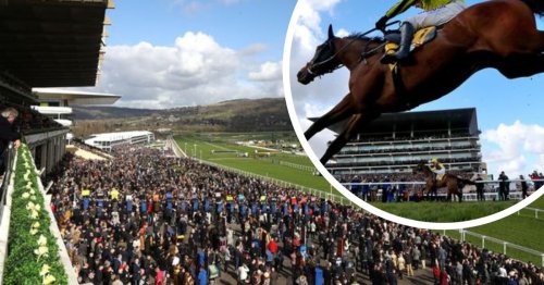 Cheltenham Racecourse announces second inspection after temperatures fell to -7.5C