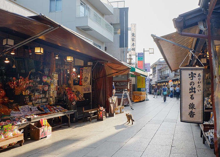 How Can You Experience Old Tokyo in One Afternoon? - cover