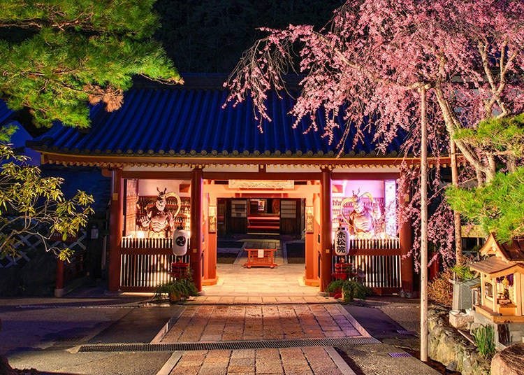 Koyasan Temple Stay: Experience Shukubo At These 5 Temple Lodgings in Japan!