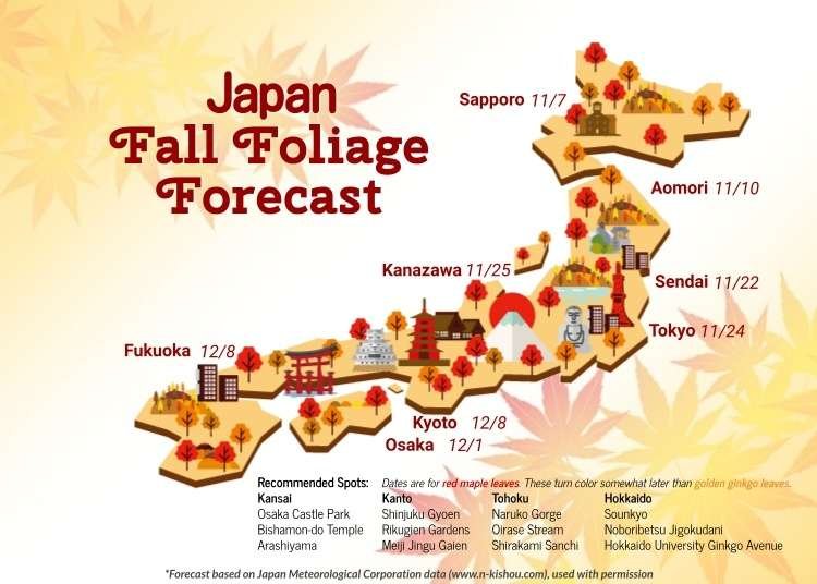 Autumn in Japan 2021: When & Where To Enjoy The Fall Foliage Season (+Forecast, Nearby Hotels)