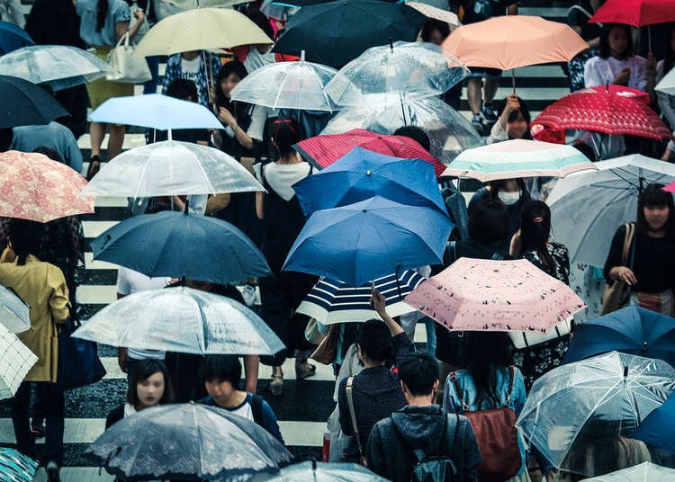 Complete Guide to Surviving Japan's Rainy Season 2023: What to Pack & More