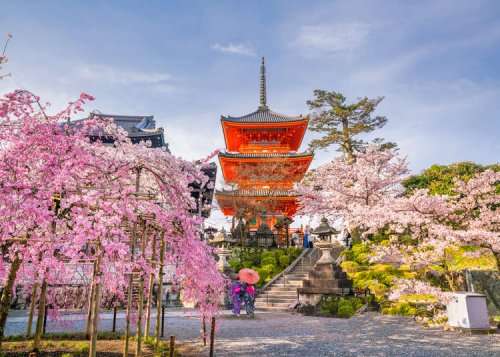 23 Astounding Places in Japan: If You Could Visit Just One, Where Would it Be?