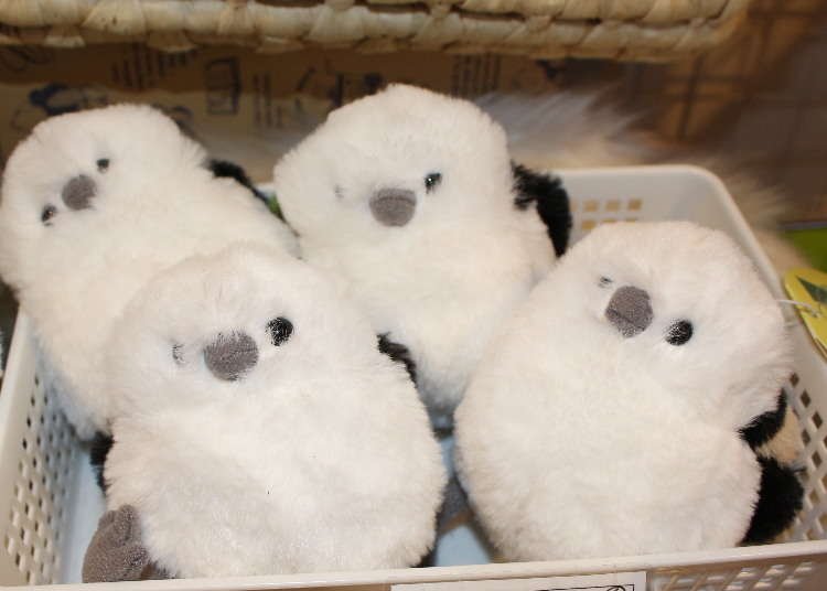 Top 10 Japanese Limited Souvenirs! Recommended Cute and Quirky Goods From Hokkaido