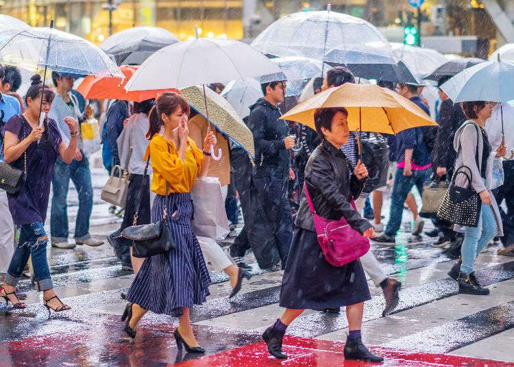 Rainy Day in Tokyo? Here's 10 Ways to Enjoy Tokyo When It's Raining!