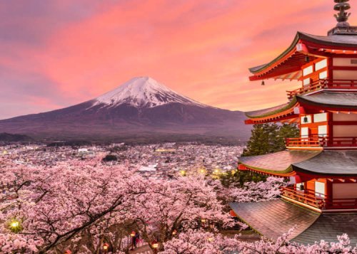 Japan Travel Tips: 9 Things I Wish I'd Known Before Going to Japan