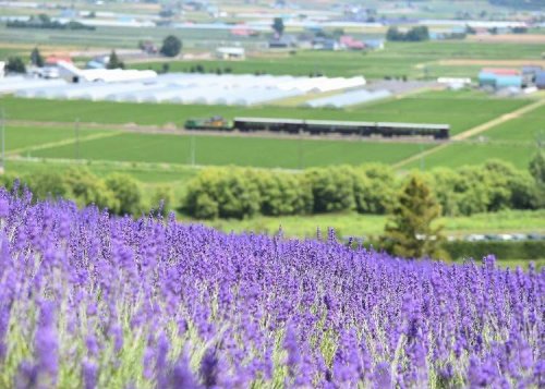 10 Picturesque Sights in Hokkaido From Spring to Early Summer Too Beautiful to Miss