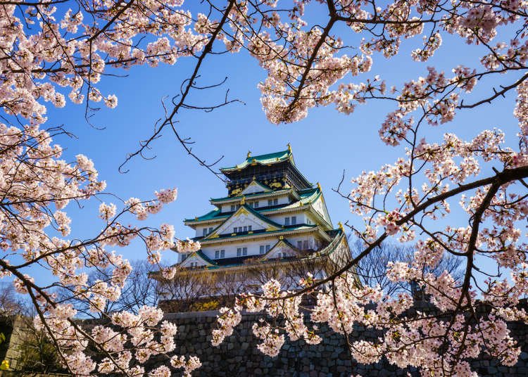 Osaka Spring Weather Guide: What to Wear and What to Expect