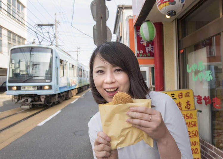 Kamakura Day Trip Ideas: Trainspotting and traveling along the quaint Enoden Railway!